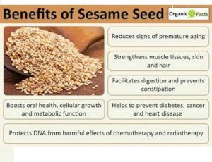 Sesame Seeds Manufacturers and Suppliers from Jaipur