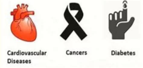 Good Health & Wellbeing