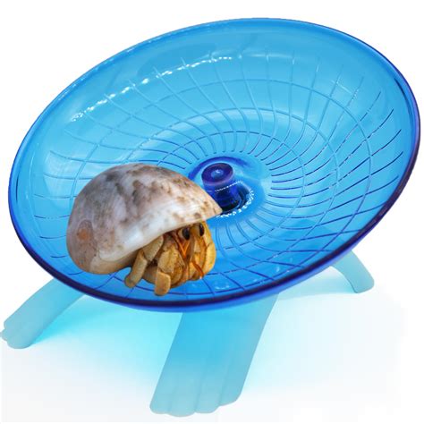 Buy Hermit Crab Climbing Toy, Hermit Crab Exercise Wheel, Super Silent ...
