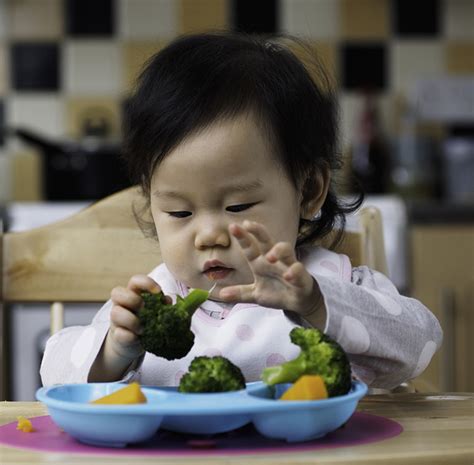 Babies Eating First Solids 的图像结果