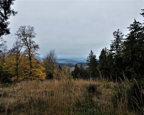 BEST Places to Visit in Thalfang - UPDATED 2022 (with Photos & Reviews ...