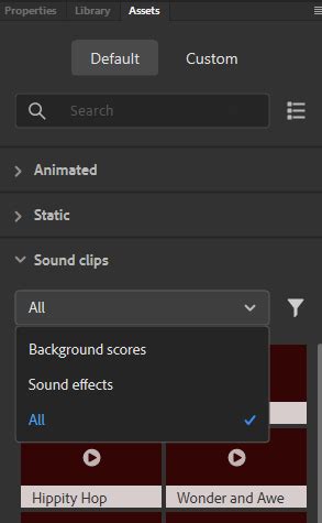 Assets Panel in Animate