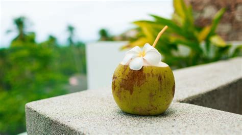 manfaat air kelapa buat ibu hamil