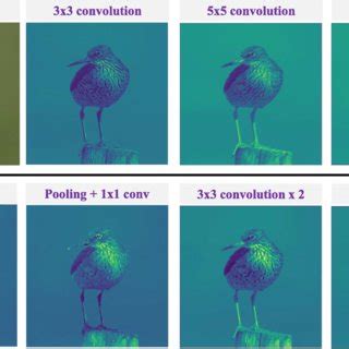Image result for Cosine Decay Schedule Warm Up Python