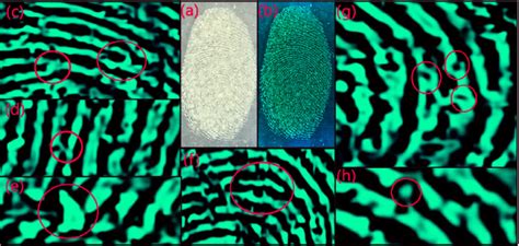 Image result for FBI Light Pattern