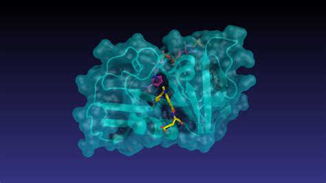 Image result for PyMOL Demo