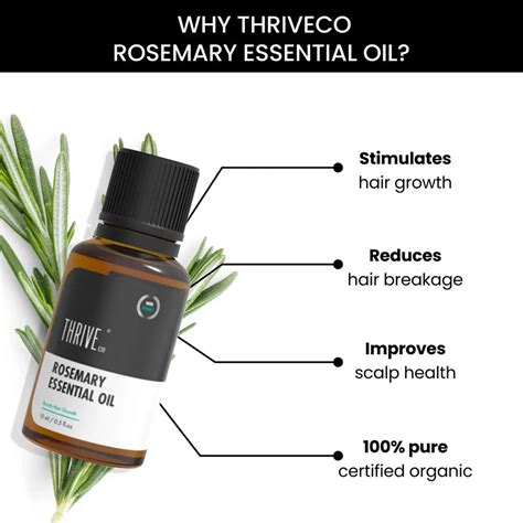 Rosemary Oil for Hair Growth | ThriveCo