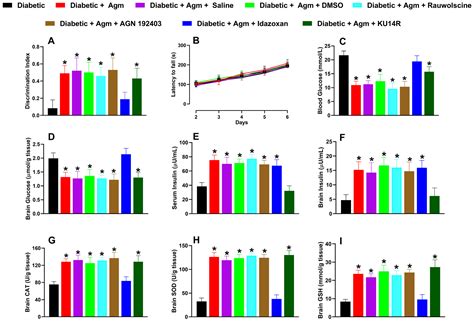 Agmatine Mitigates Diabetes-Related Memory Loss in Female Mice by ...