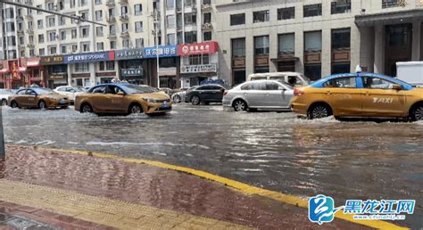 一场急雨！哈尔滨市区部分路段积水_车辆_下水_市民