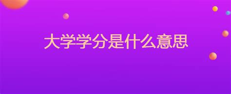 北京外国语大学国际商学院｜海外本科学分豁免项目（本科2+2） - MBAChina网