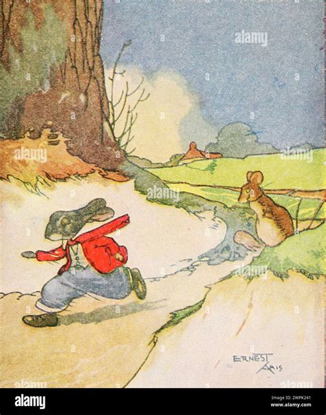 Peter Rabbit and his ma by Louise A Field, Illustrated by Virginia ...