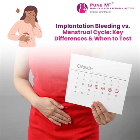 Implantation Bleeding vs Period: Know the Key Differences