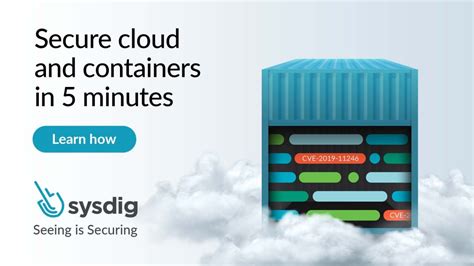 Image result for Sysdig CEO