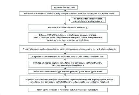 Medical Algorithm Examples 的图像结果