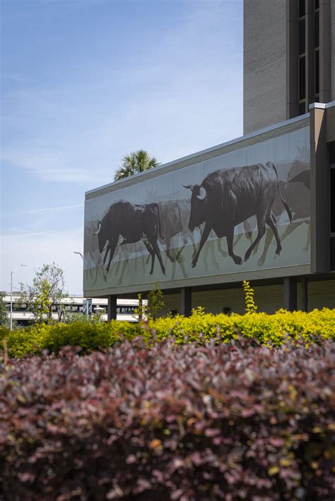 USF Libraries - USF Tampa Library Welcomes New Building Partners