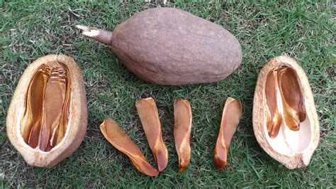 Exploring Science through commonly available materials - Azim Premji ...