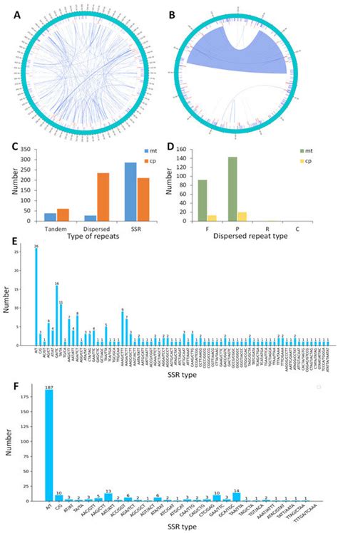 De Novo Assembly of First Mitochondrial Genome in Melicope pteleifolia ...