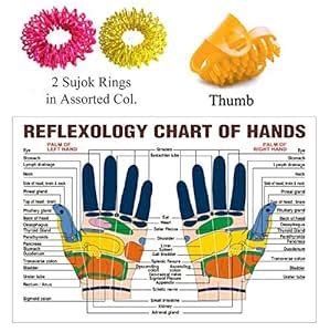 Super India Store Aci Acupressure Massage Sujok Rings In Assorted ...
