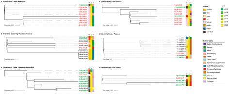 What WGS Reveals about Salmonella enterica subsp. enterica in Wildlife ...