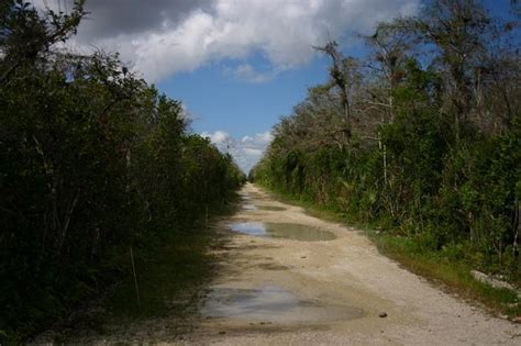 Image result for Conventional Loop Road