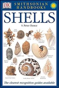 Finding Sea Shells 的图像结果