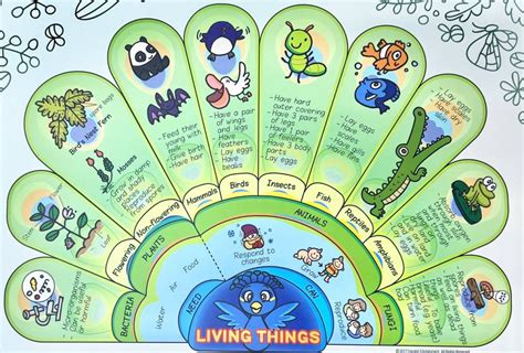 Easy Science Modal 的图像结果