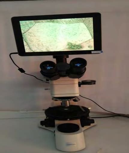 Image result for Microscope Optique