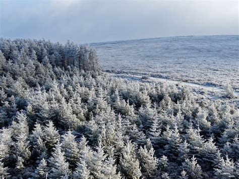 Met Éireann forecasts sharp drop in temperatures with lows of minus 3 ...