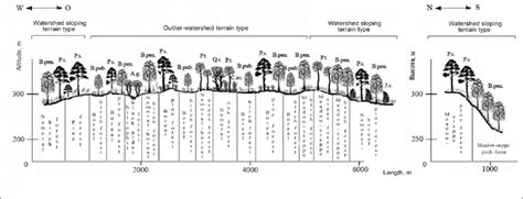 Plant Community 的图像结果
