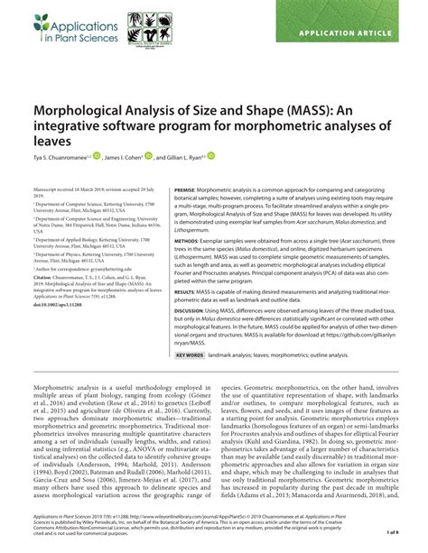 Morphometric Analysis Program MATLAB Script 的图像结果