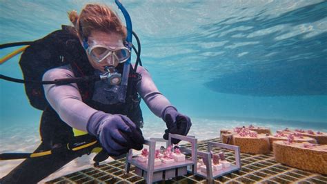 Computer-Aided Engineering 的图像结果