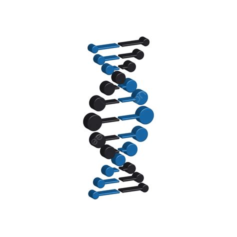 Diseño De Vector 3d De Cadena De Adn PNG , Cadena De Adn, Vector 3d ...