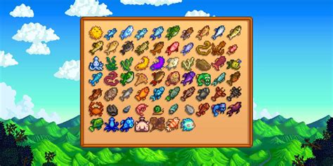 Image result for Coding Course Gift Set