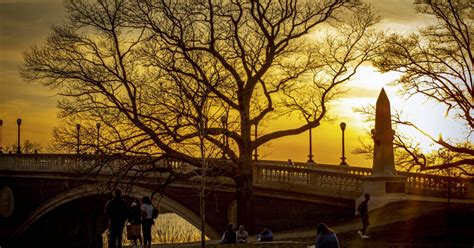 Harvard 2021 的图像结果