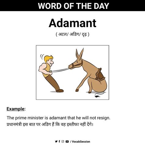 Word of the Day: Adamant | Interesting english words, English ...