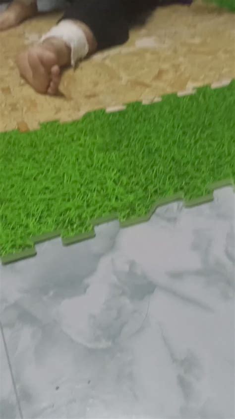 Monkey and Python 的图像结果