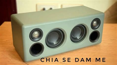 DIY Bluetooth Speaker Tutorial 的图像结果