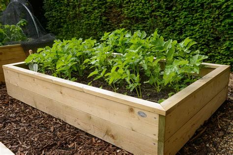 Standard Wooden Raised Beds - Harrod Horticultural