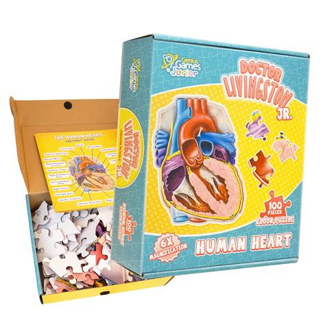 Buy Human Heart Anatomy Floor Puzzle — Genius Games Doctor Livingston ...
