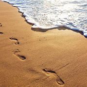 footprints 的图像结果