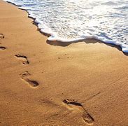 footprints 的图像结果