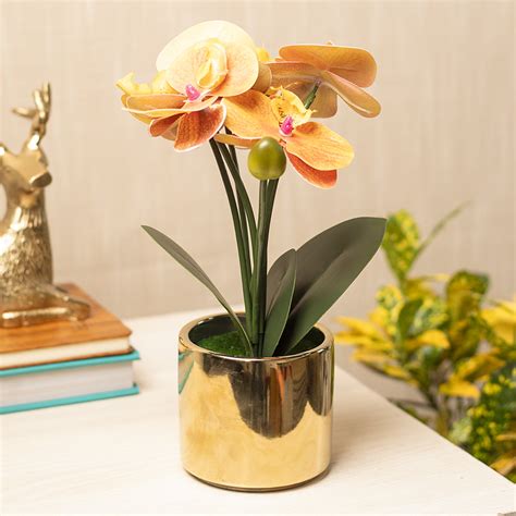 Yellow Orchid With Golden Pot - Market99 – MARKET99