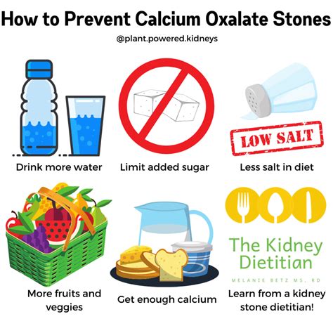 How To Avoid A Kidney Stone - Plantforce21