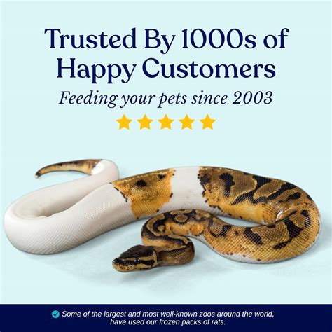 MiceDirectEST.2003 MiceDirect Frozen Mice Small Pinkie Feeder Snake ...