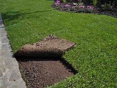 erbetta da giardino tutte le informazioni sul prato a zolle e i relativi prezzi erbetta da giardino tutte le informazioni sul prato a zolle e i relativi prezzi