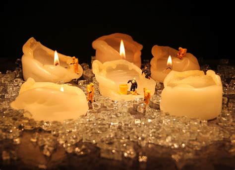 Is Paraffin Wax Sustainable? What You Should Know (+4 Alternatives)