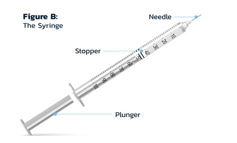 Injection Needle Sizes 的图像结果