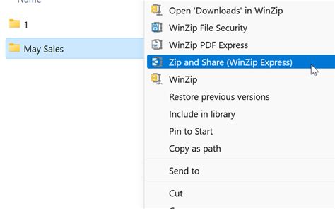 Image result for WinZip Explorer