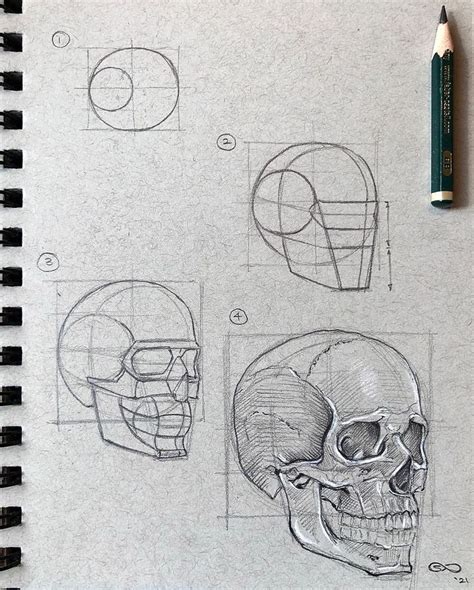 Image result for Skull Drawing Tutorial