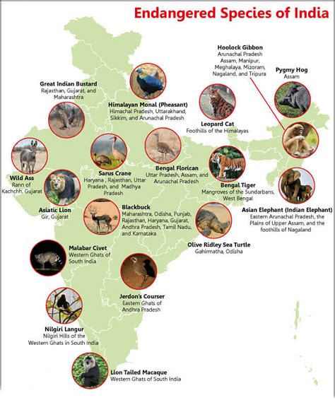 Endangered Species of India - Oxford Student ATLAS: Maps and Tests ...